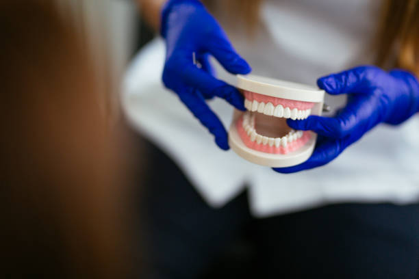 Trusted Cary, IL Holistic Dental Care Services Experts
